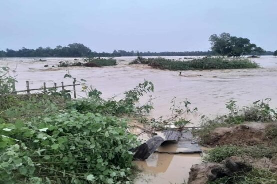 শেরপুরের ঝিনাইগাতীতে পাহাড়ি ঢলে নিম্নাঞ্চল প্লাবিত