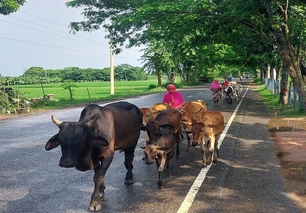 কর্মক্ষেত্রে বাড়ছে নারীর অংশগ্রহণ-নিজের পায়ে দাঁড়াচ্ছে গ্রামের নারীও