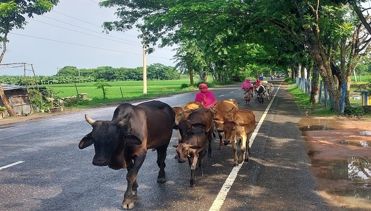 কর্মক্ষেত্রে বাড়ছে নারীর অংশগ্রহণ-নিজের পায়ে দাঁড়াচ্ছে গ্রামের নারীও