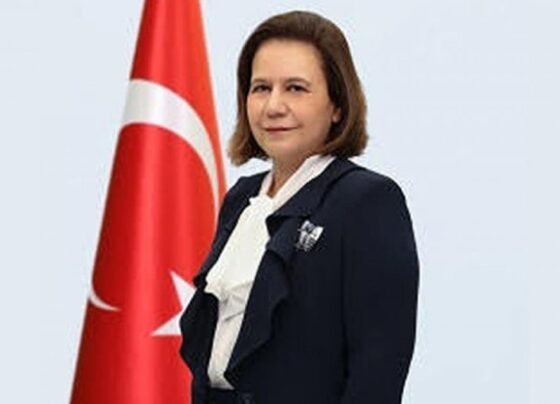 ঢাকায় আসছেন তুরস্কের উপ-পররাষ্ট্রমন্ত্রী