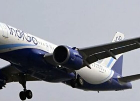 পাঁচ বছর পর আবারও ভারত-চীন সরাসরি বিমান চলাচল শুরু