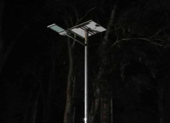 পঞ্চগড়ে সাড়ে ৪ কোটি টাকার সৌরবাতি অকেজো