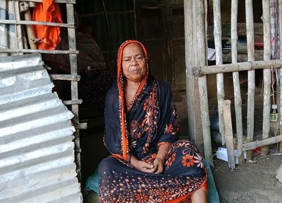 মুজিবনগরে খুপড়ি ঘরে মানবেতর জীবনযাপন মুগলি খাতুনের