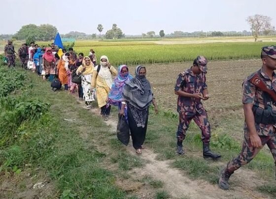 গাংনীর দুই সীমান্তে নারী-পুরুষ ও শিশুসহ ৬০ জনকে পুশব্যাক