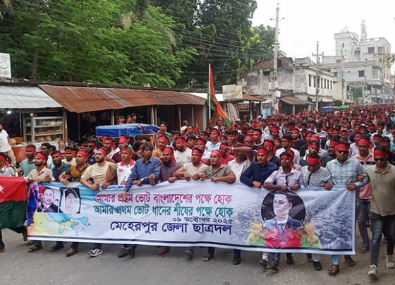 মেহেরপুরে ছাত্রদলের মিছিল ও সমাবেশ