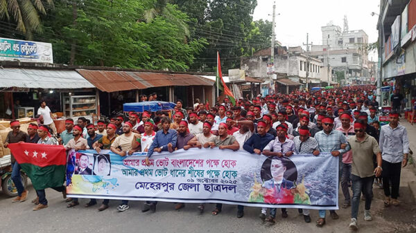 মেহেরপুরে ছাত্রদলের মিছিল ও সমাবেশ