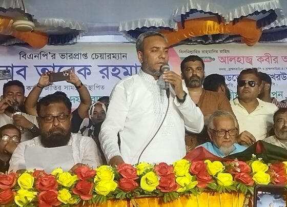 তারেক রহমানের ৩১ দফা বাস্তবায়ন ব্রাহ্মণবাড়িয়া কসবা বিএনপির জনসভা