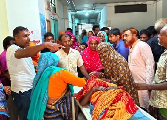 মেহেরপুরে ট্রাকের ধাক্কায় নারী শ্রমিক নিহত