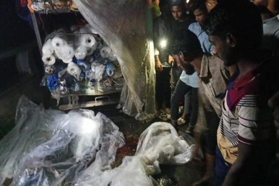 মেহেরপুরে সড়ক দুর্ঘটনায় এক ব্যবসায়ী নিহত