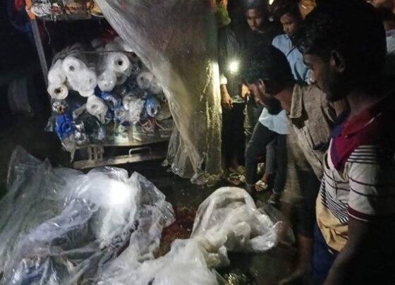 মেহেরপুরে সড়ক দুর্ঘটনায় এক ব্যবসায়ী নিহত