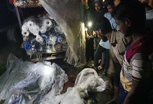 মেহেরপুরে সড়ক দুর্ঘটনায় এক ব্যবসায়ী নিহত