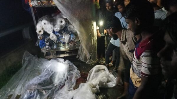 মেহেরপুরে সড়ক দুর্ঘটনায় এক ব্যবসায়ী নিহত