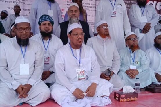 যারা দ্রুত নির্বাচন চায়, তারা ভারতীয় সুরে কথা বলছে-ব্রাহ্মণবাড়িয়ায় রেজাউল করিম