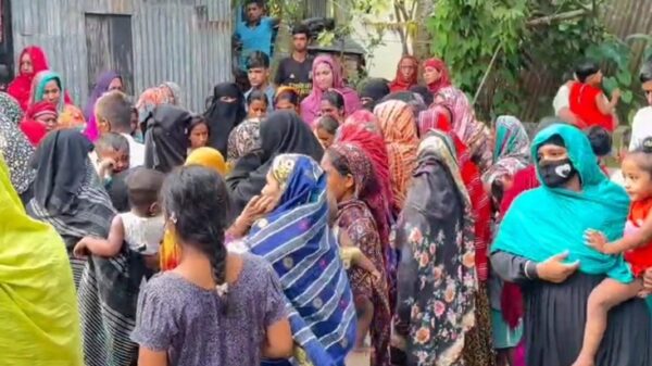 ব্রাহ্মণবাড়িয়ার নবীনগরে পুকুরে ডুবে ভাই-বোনের মৃত্যু