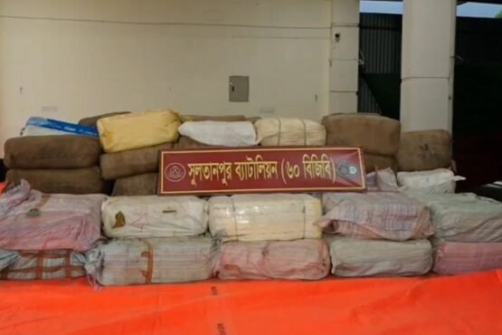 ব্রাহ্মণবাড়িয়ায় বিজিবির অভিযানে ৮ কোটি টাকার ভারতীয় শাড়ি-চশমা জব্দ