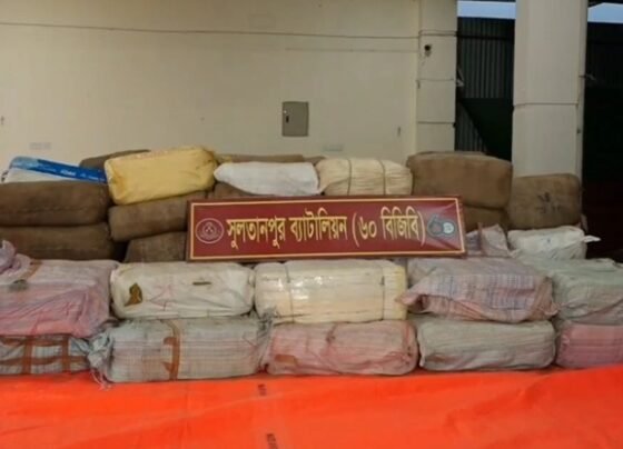 ব্রাহ্মণবাড়িয়ায় বিজিবির অভিযানে ৮ কোটি টাকার ভারতীয় শাড়ি-চশমা জব্দ