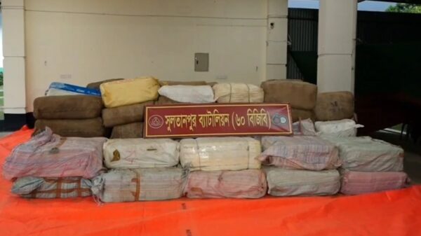 ব্রাহ্মণবাড়িয়ায় বিজিবির অভিযানে ৮ কোটি টাকার ভারতীয় শাড়ি-চশমা জব্দ