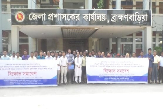 ব্রাহ্মণবাড়িয়ায় সরকারি কর্মচারীদের উপর হামলার প্রতিবাদে বিক্ষোভ সমাবেশ