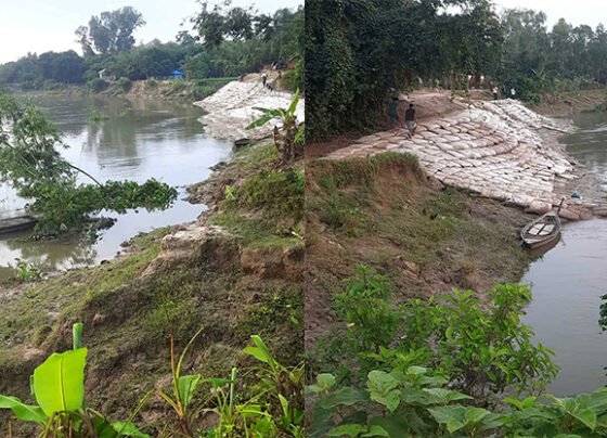 পলাশবাড়ীতে চাঁদাবাজের দৌরাত্বে অতিষ্ঠ ঠিকাদার, নদী ভাঙন রোধ প্রকল্পের কাজ বন্ধ