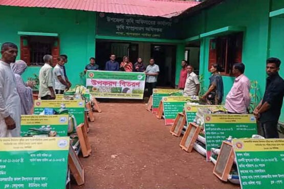 লামায় তেলজাতীয় ফসলের উৎপাদন বৃদ্ধির লক্ষ্যে উপকরণ বিতরণ