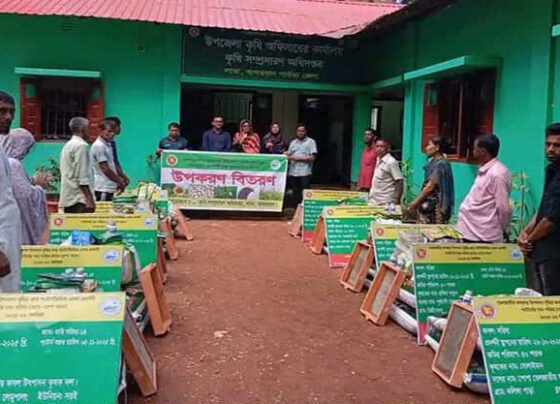 লামায় তেলজাতীয় ফসলের উৎপাদন বৃদ্ধির লক্ষ্যে উপকরণ বিতরণ