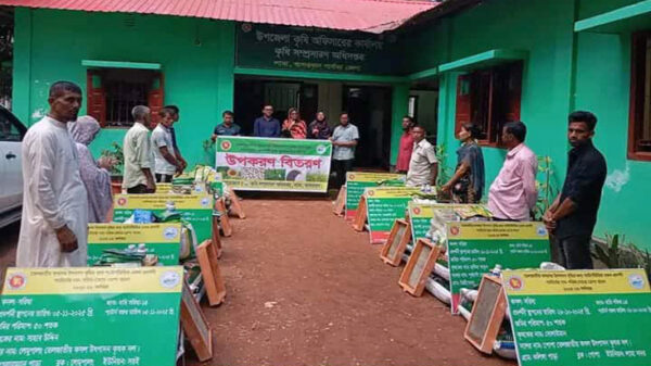 লামায় তেলজাতীয় ফসলের উৎপাদন বৃদ্ধির লক্ষ্যে উপকরণ বিতরণ