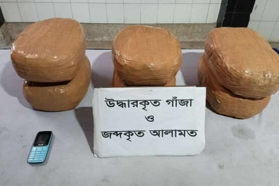 যাত্রাবাড়ীতে র‌্যাবের অভিযানে ১৫ কেজি গাঁজাসহ মাদককারবারী আটক