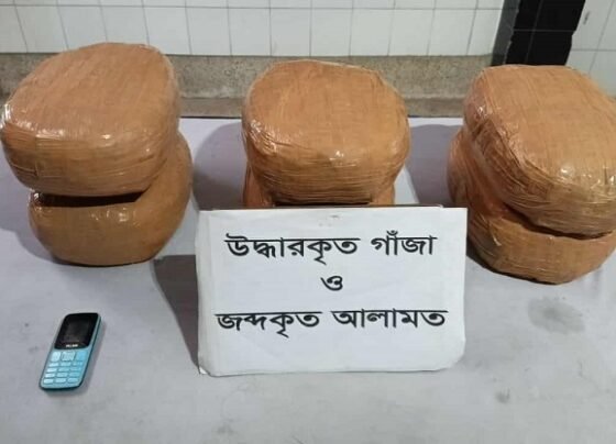 যাত্রাবাড়ীতে র‌্যাবের অভিযানে ১৫ কেজি গাঁজাসহ মাদককারবারী আটক