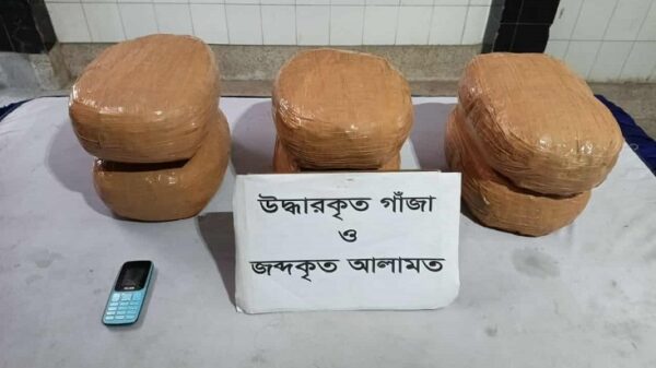 যাত্রাবাড়ীতে র‌্যাবের অভিযানে ১৫ কেজি গাঁজাসহ মাদককারবারী আটক