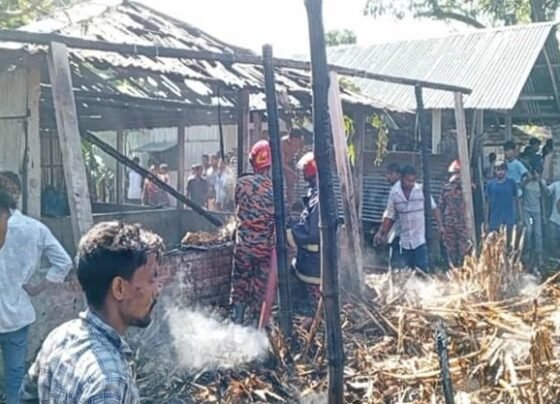 গড়েয়ায় আগ্নিকান্ডে পুড়ে ছাই তিন গরু, নিঃস্ব ভ্যানচালক