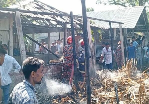 গড়েয়ায় আগ্নিকান্ডে পুড়ে ছাই তিন গরু, নিঃস্ব ভ্যানচালক