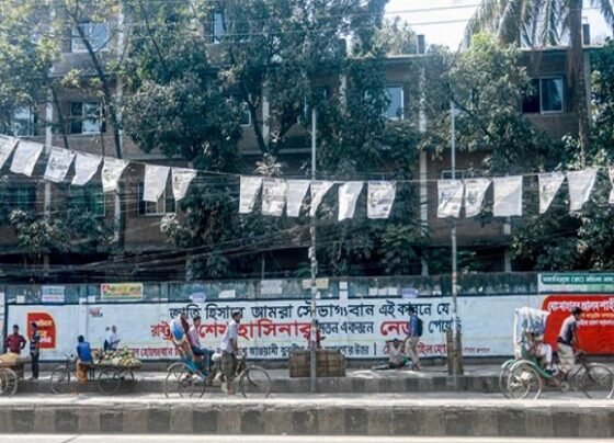 নির্বাচনি প্রচারণায় বন্ধ হচ্ছে পোস্টার