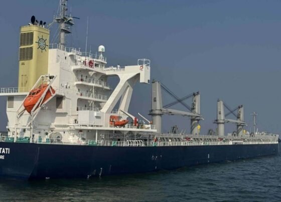 যুক্তরাষ্ট্র থেকে সরাসরি মোংলায় প্রথমবারের মতো এলো গম