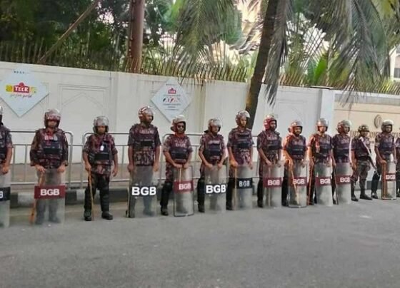 ঢাকা ও আশপাশের জেলায় ১৪ প্লাটুন বিজিবি মোতায়েন