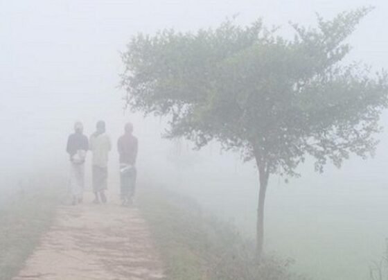 মাসের শেষেই সারাদেশে জেঁকে বসবে শীত, ডিসেম্বরে তীব্র শৈত্যপ্রবাহের শঙ্কা