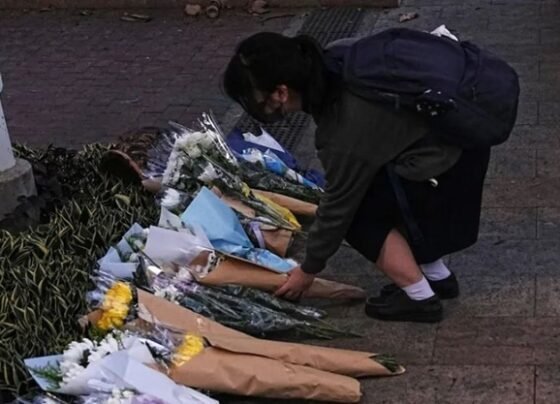 অগ্নিকাণ্ডে নিহতদের স্মরণে হংকংয়ে ৩ দিনের শোক