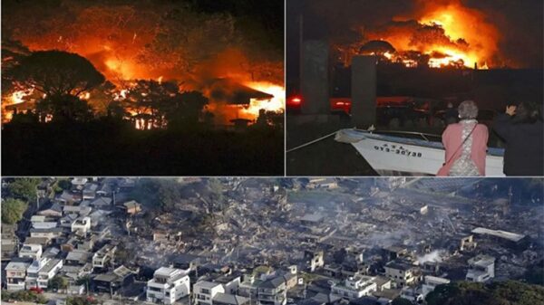 জাপানের ভয়াবহ আগুন: পুড়েছে ১৭০টিরও বেশি ভবন