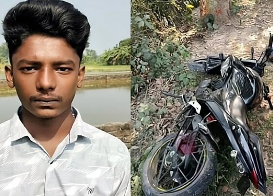 গাংনীতে মোটরসাইকেলের নিয়ন্ত্রণ হারিয়ে গাছে ধাক্কা-কিশোর নিহত