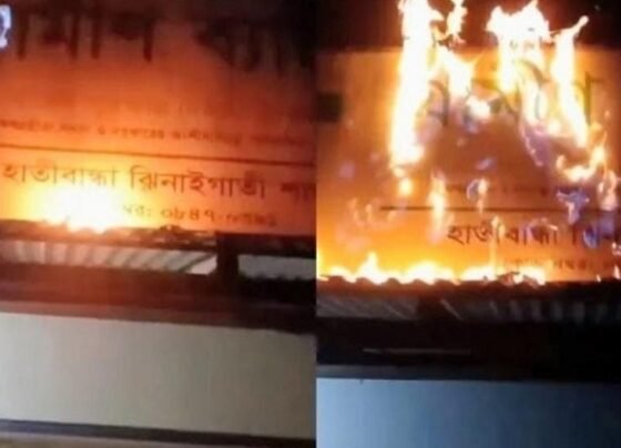 ঝিনাইগাতীতে গ্রামীণ ব্যাংকের সাইনবোর্ডে আগুন