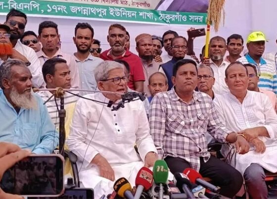 দেশে চলমান সব সংকট তৈরি করা নাটক, মানুষ ভোট দিতে চায়: মির্জা ফখরুল