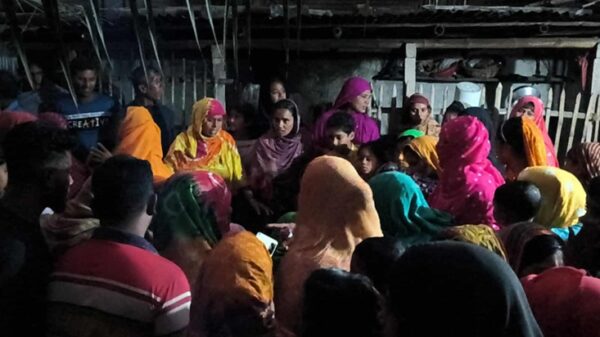 মেহেরপুরে পদ্ম ফুল তুলতে গিয়ে আপন দুই বোনসহ পানিতে ডুবে চার শিশুর মৃত্যু