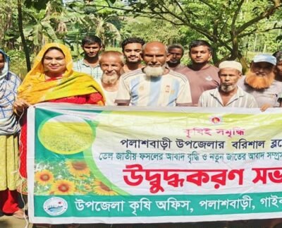পলাশবাড়ীতে তেল ফসলের আবাদ বৃদ্ধির উদ্ধুদ্ধকরণ সভা অনুষ্ঠিত