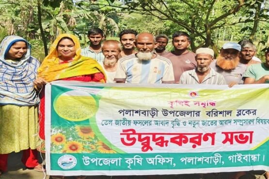 পলাশবাড়ীতে তেল ফসলের আবাদ বৃদ্ধির উদ্ধুদ্ধকরণ সভা অনুষ্ঠিত