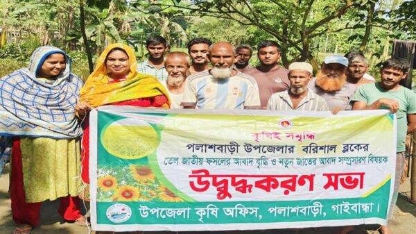 পলাশবাড়ীতে তেল ফসলের আবাদ বৃদ্ধির উদ্ধুদ্ধকরণ সভা অনুষ্ঠিত