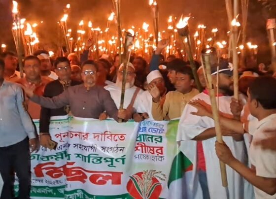 ব্রাহ্মণবাড়িয়ায় বিএনপির দুই স্থানে মশাল মিছিল ও বিক্ষোভ-সমাবেশ