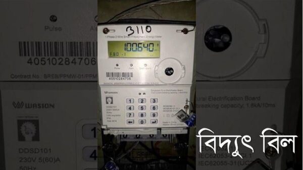 গাজীপুরে একসঙ্গে তিন-চার মাসের বিদ্যুৎ বিল, শত শত গ্রাহক বিপাকে