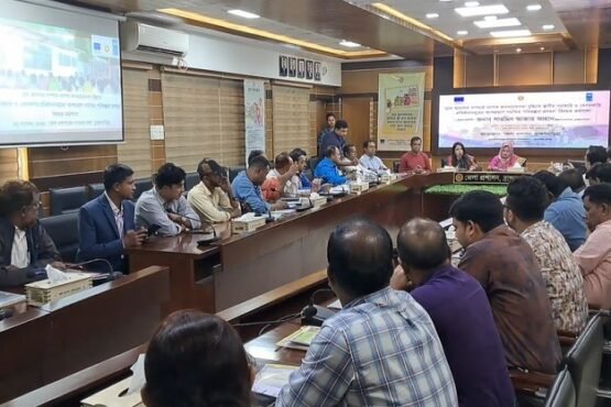 ব্রাহ্মণবাড়িয়ায় গ্রাম আদালত বিষয়ে কর্মশালা