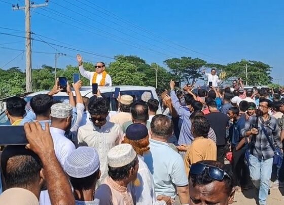 নিরাপত্তা উপদেষ্টার ভারত সফর আঞ্চলিক শান্তির প্রয়াস-বিএনপি চেয়ারপার্সনের উপদেষ্টা মুশফিকুর রহমান
