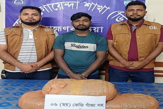 ব্রাহ্মণবাড়িয়ায় ৬ কেজি গাঁজাসহ এক মাদক কারবারি গ্রেফতার