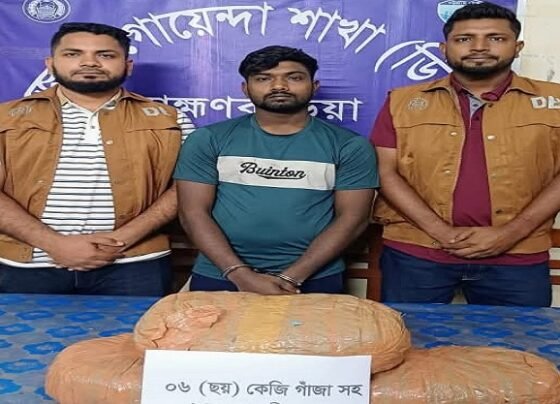 ব্রাহ্মণবাড়িয়ায় ৬ কেজি গাঁজাসহ এক মাদক কারবারি গ্রেফতার